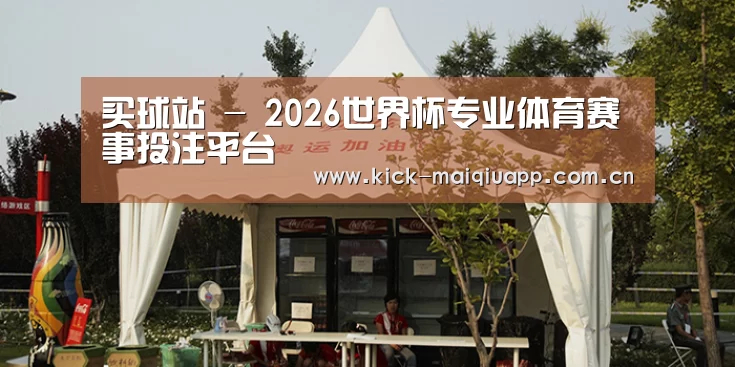 案例标题五